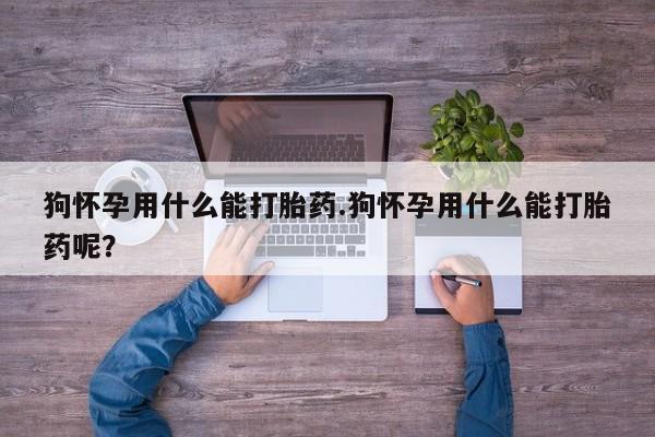 药流药在线付款狗怀孕用什么能打胎药.狗怀孕用什么能打胎药呢？
