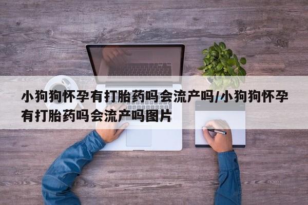 药流药在线付款小狗狗怀孕有打胎药吗会流产吗/小狗狗怀孕有打胎药吗会流产吗图片