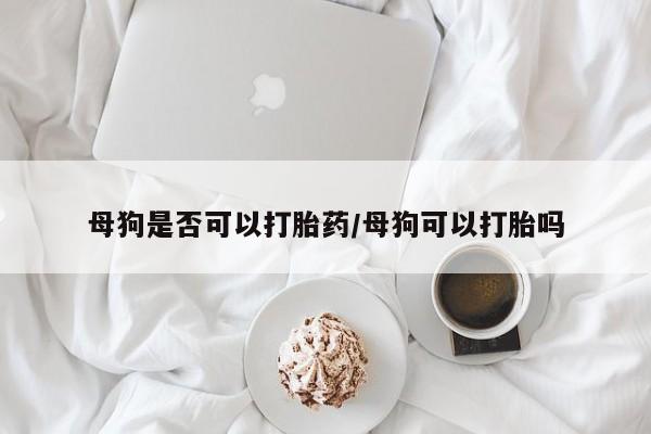 药流药在线付款母狗是否可以打胎药/母狗可以打胎吗